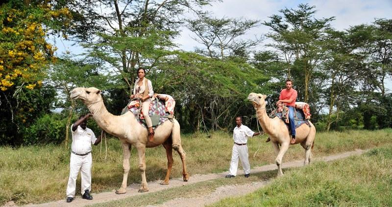 Sweetwaters Serena Camp Nanyuki Eksteriør billede