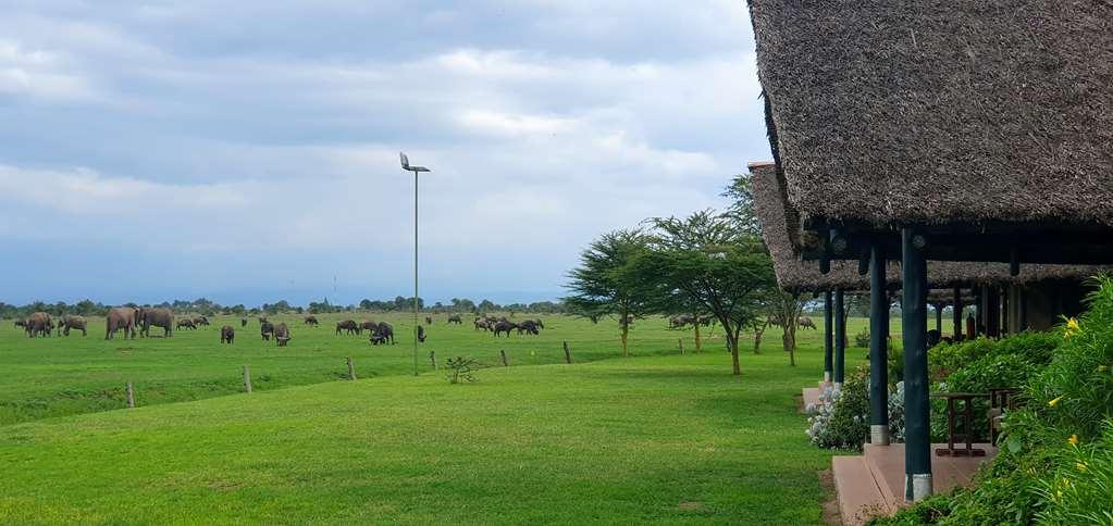 Sweetwaters Serena Camp Nanyuki Faciliteter billede