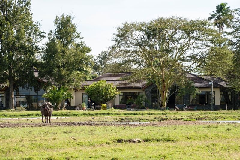 Sweetwaters Serena Camp Nanyuki Eksteriør billede
