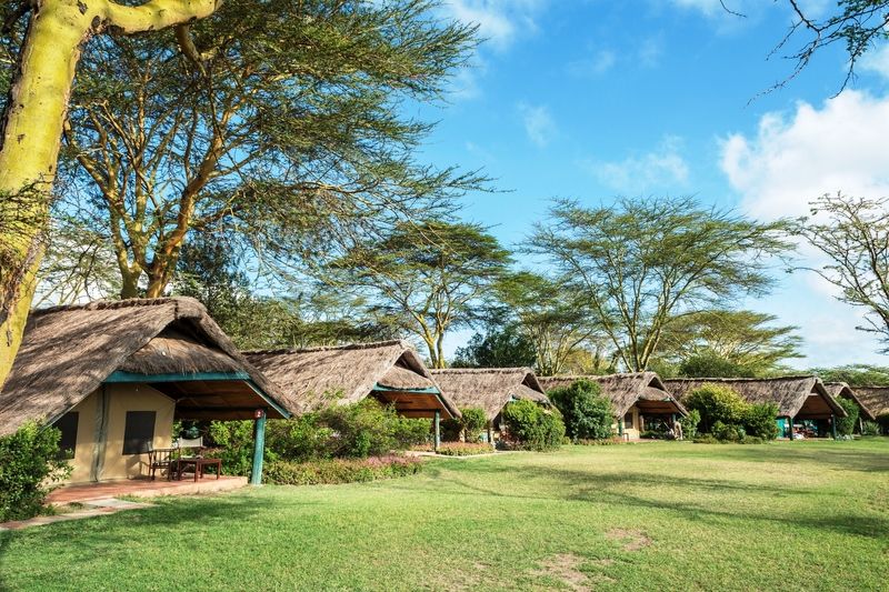 Sweetwaters Serena Camp Nanyuki Eksteriør billede