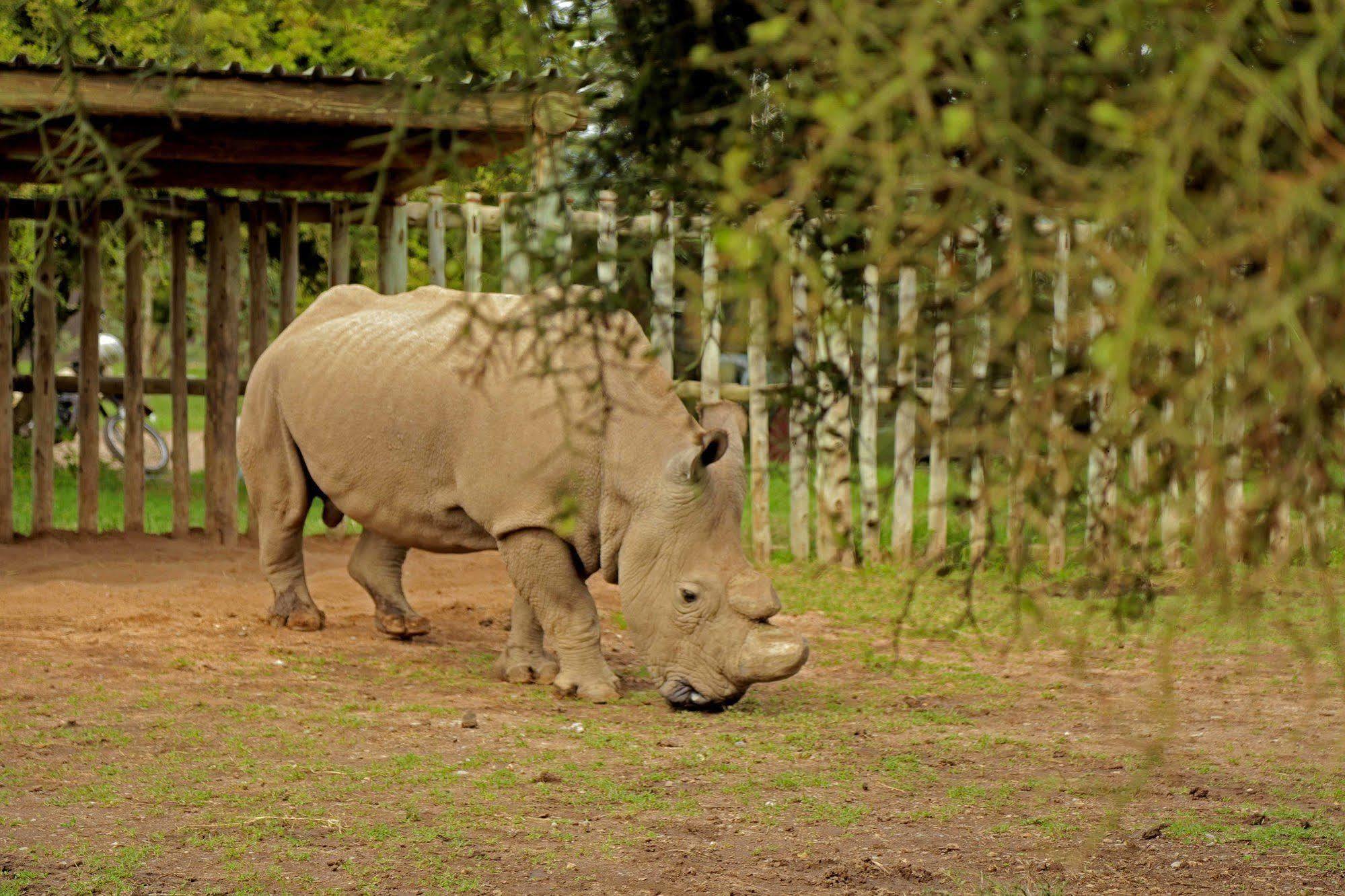 Sweetwaters Serena Camp Nanyuki Eksteriør billede