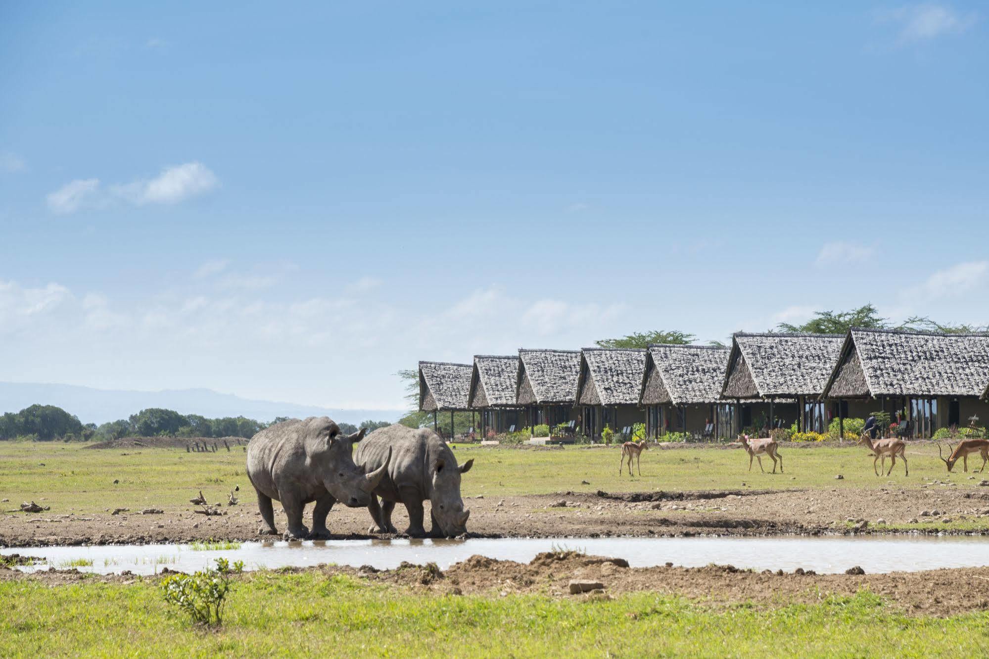 Sweetwaters Serena Camp Nanyuki Eksteriør billede